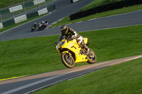 Evening Low_Mid Group Yellow Bikes